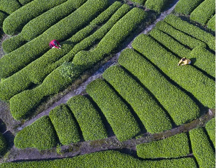 Team Building Activities