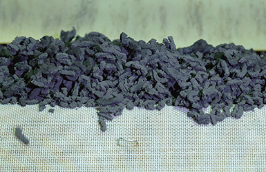 BEIJING BOE DISPLAY TECHNOLOGY CO., LTD SLUDGE DRYING PLANT