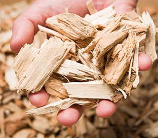 Biamoss to  Pyrolysis