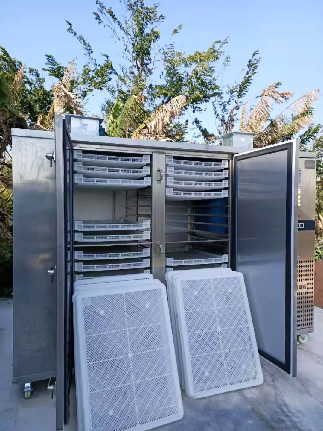 ODD300FL  FRUIT DRYING FOR RED BAYBERRY IN PHILIPPINES