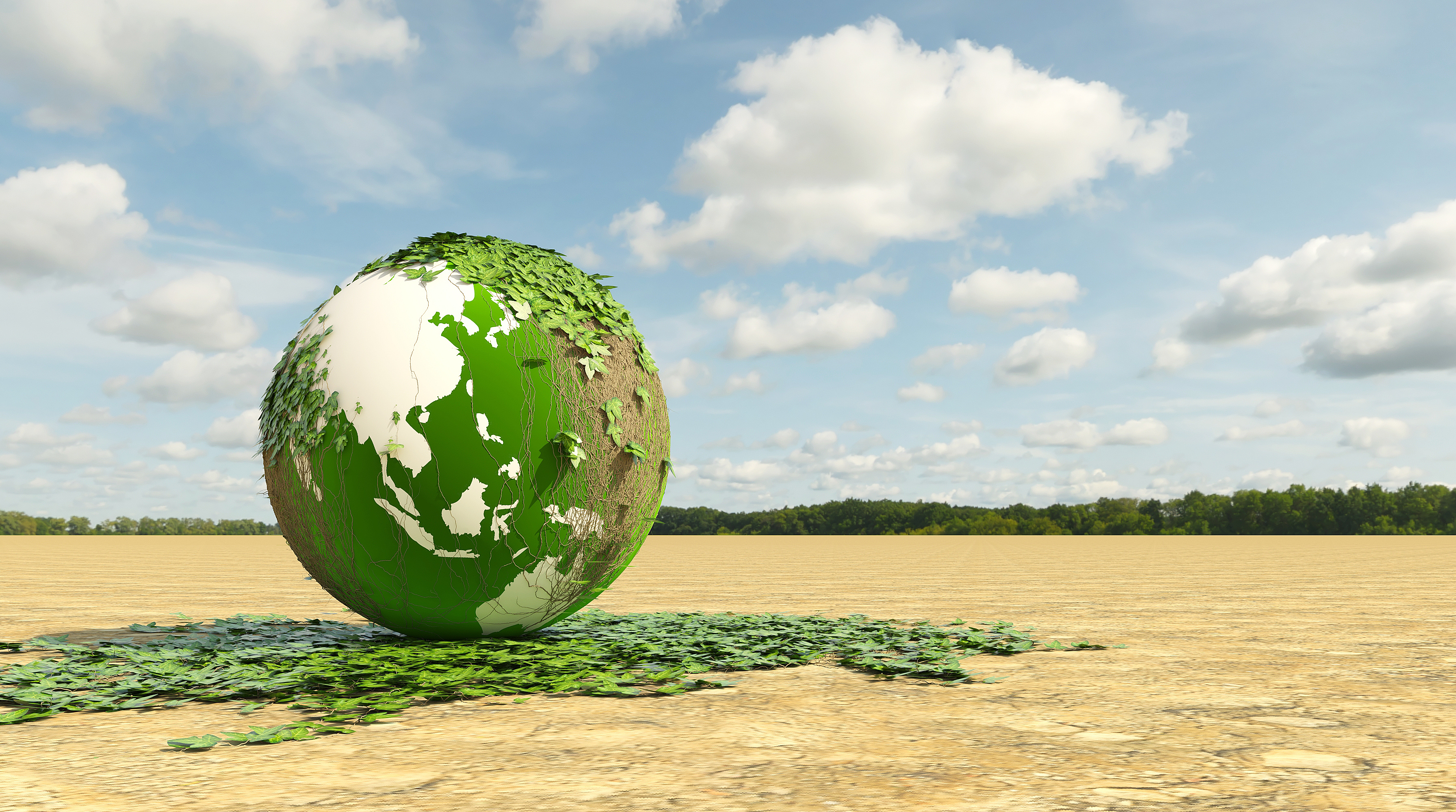 Municipal sludge drying and incineration treatment technology