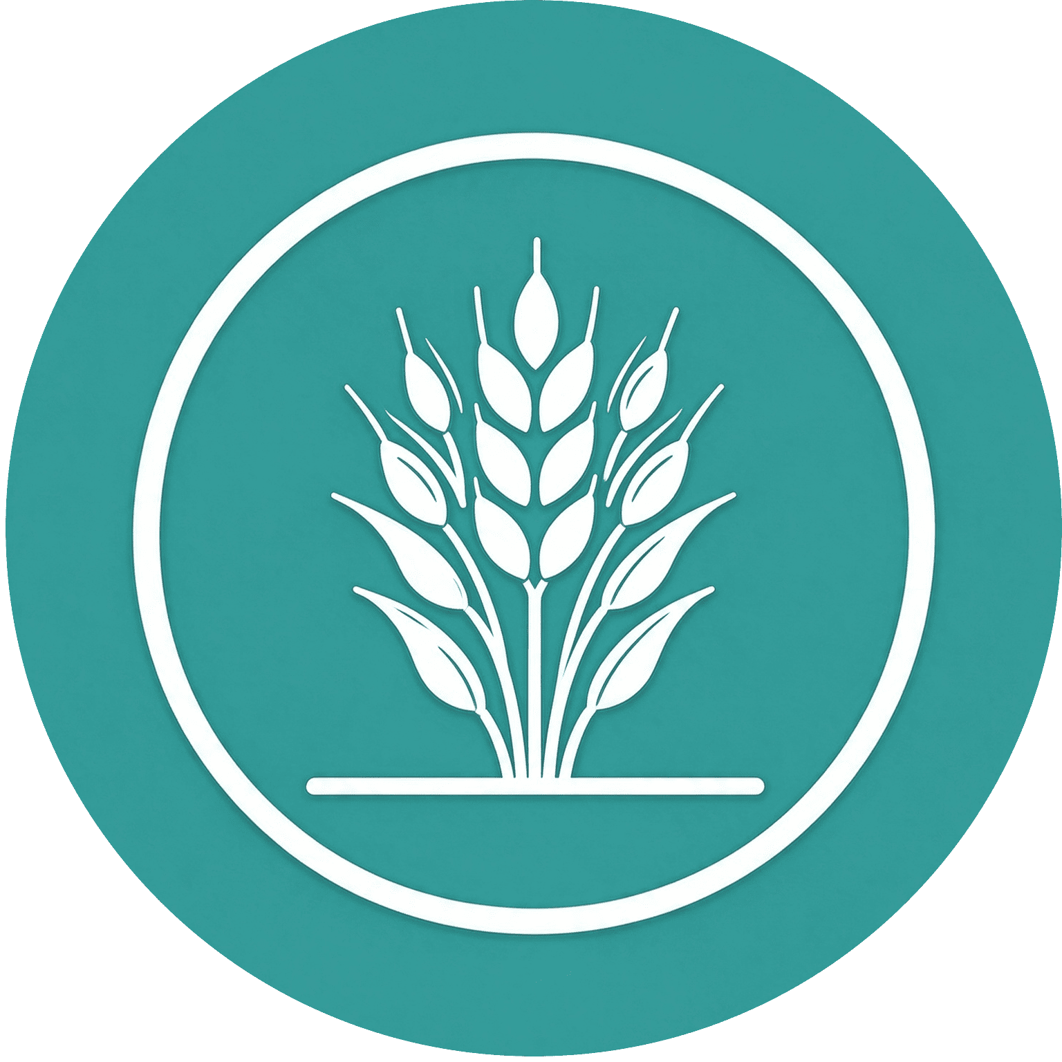 Grain Dryer